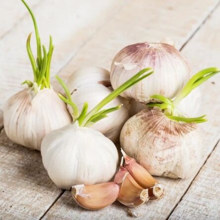 Aglio